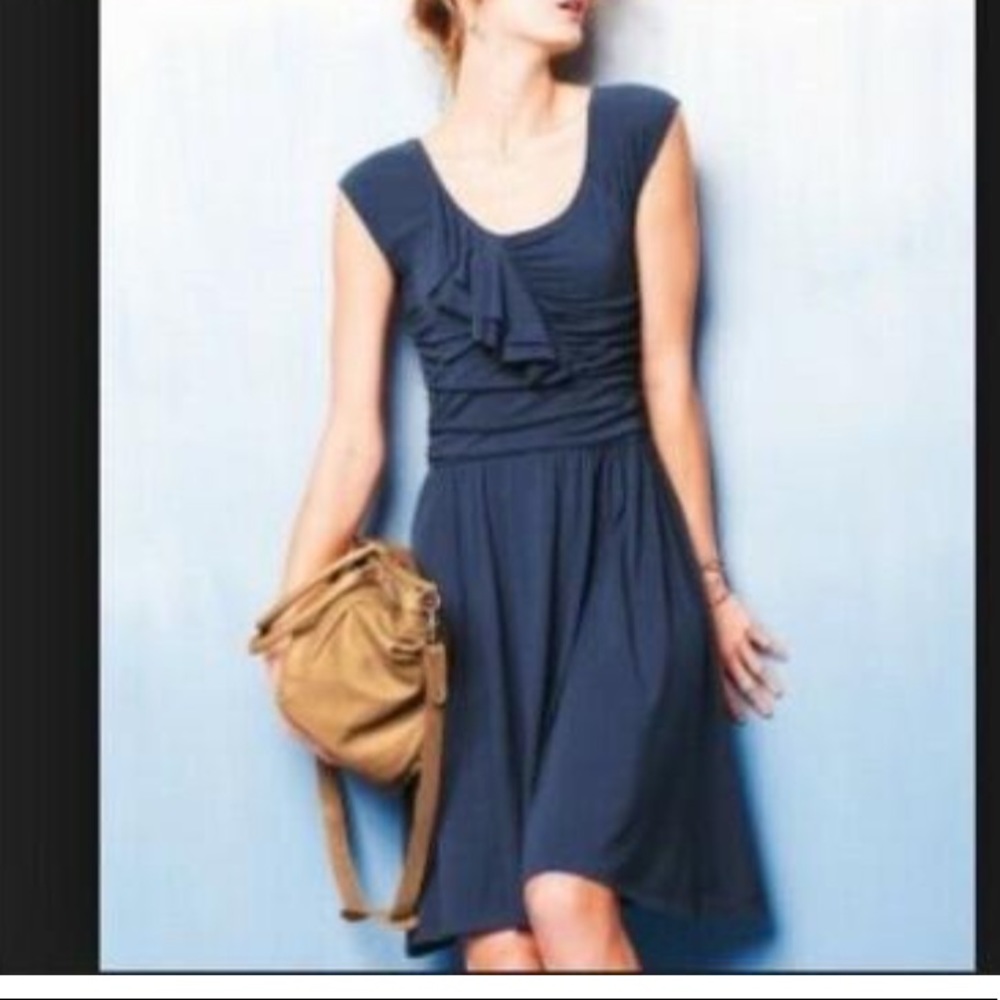 Garnet Hill Blue Ruffle Front Dress